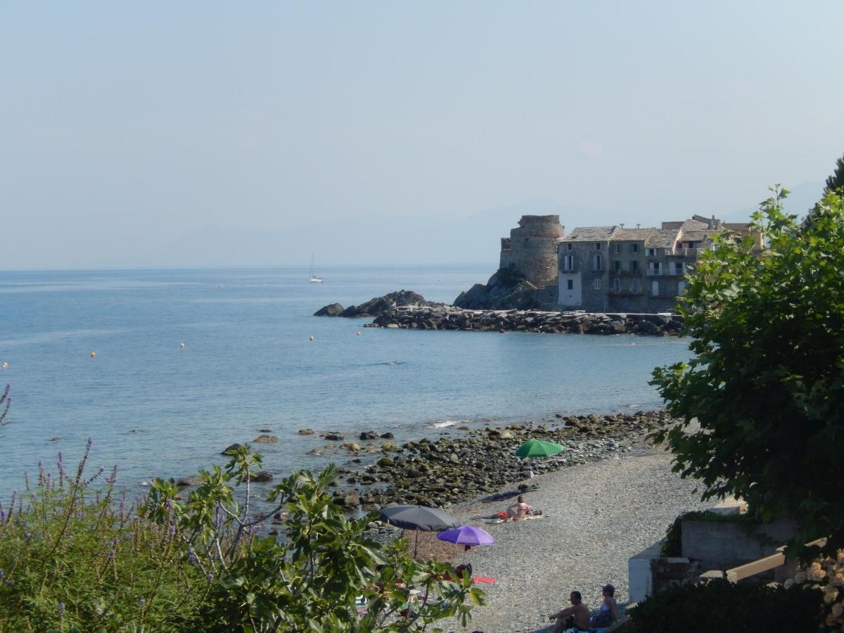 Erbalunga - Residence Les Bosquets - Cap Corse Location ブランド エクステリア 写真